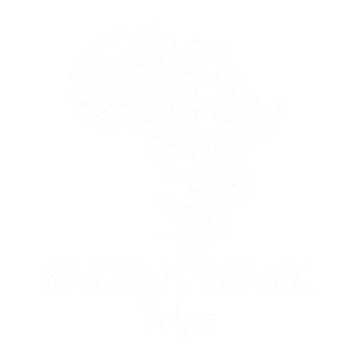 African Safari Trips
