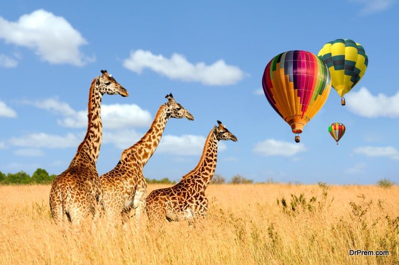 Hot-Air Balloon Safari