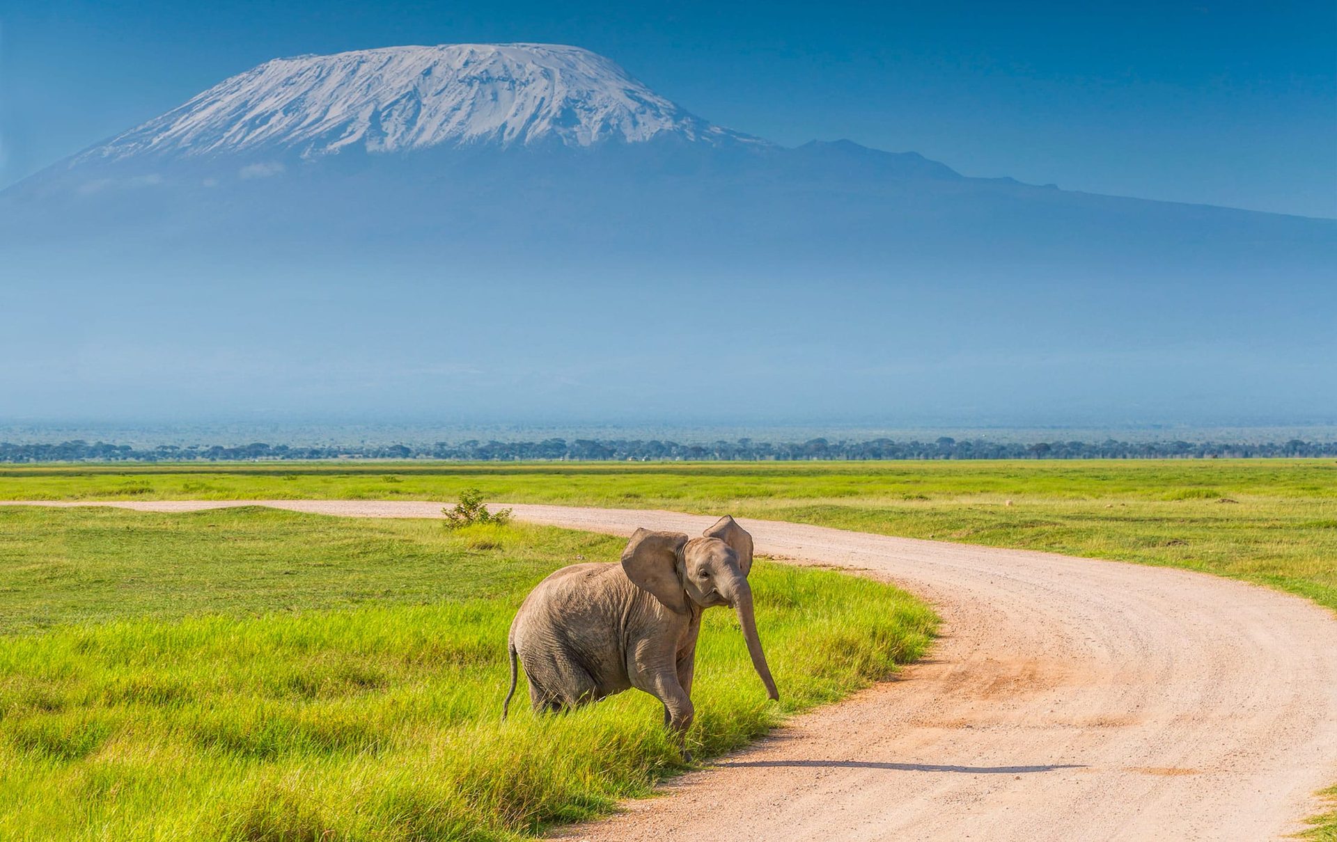 Kilimanjaro & Mountain Climbs