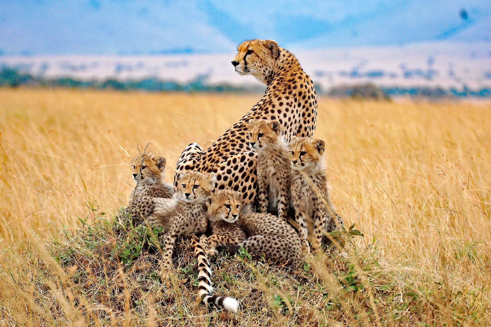 Lake Manyara