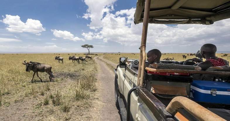 A game drive on the plains