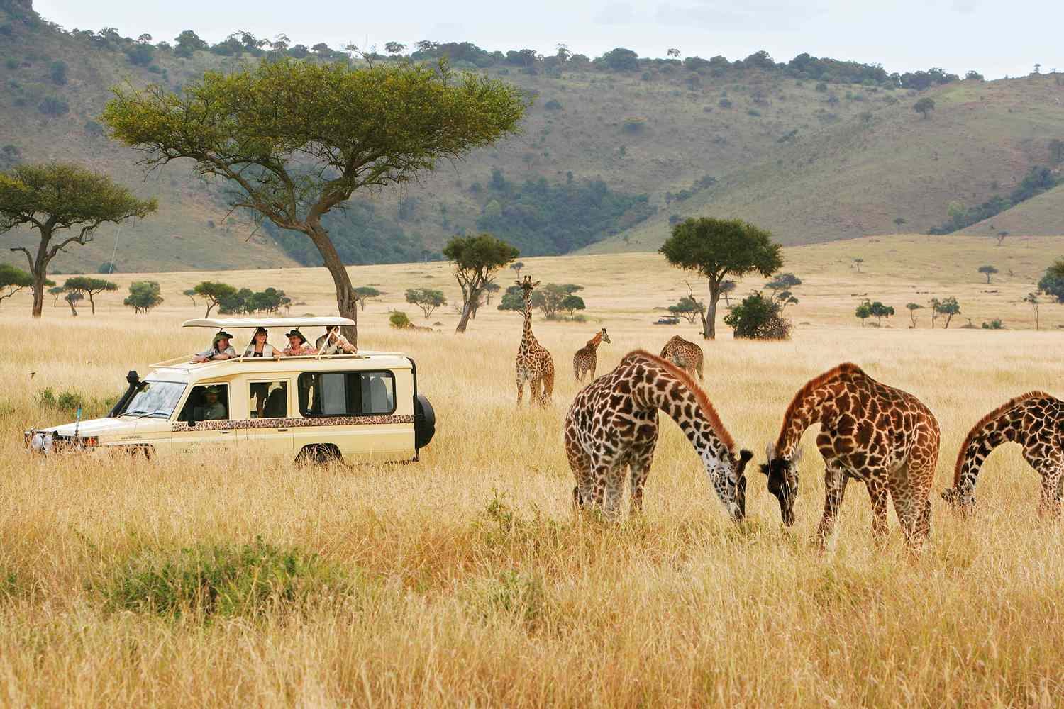 Walking Safari