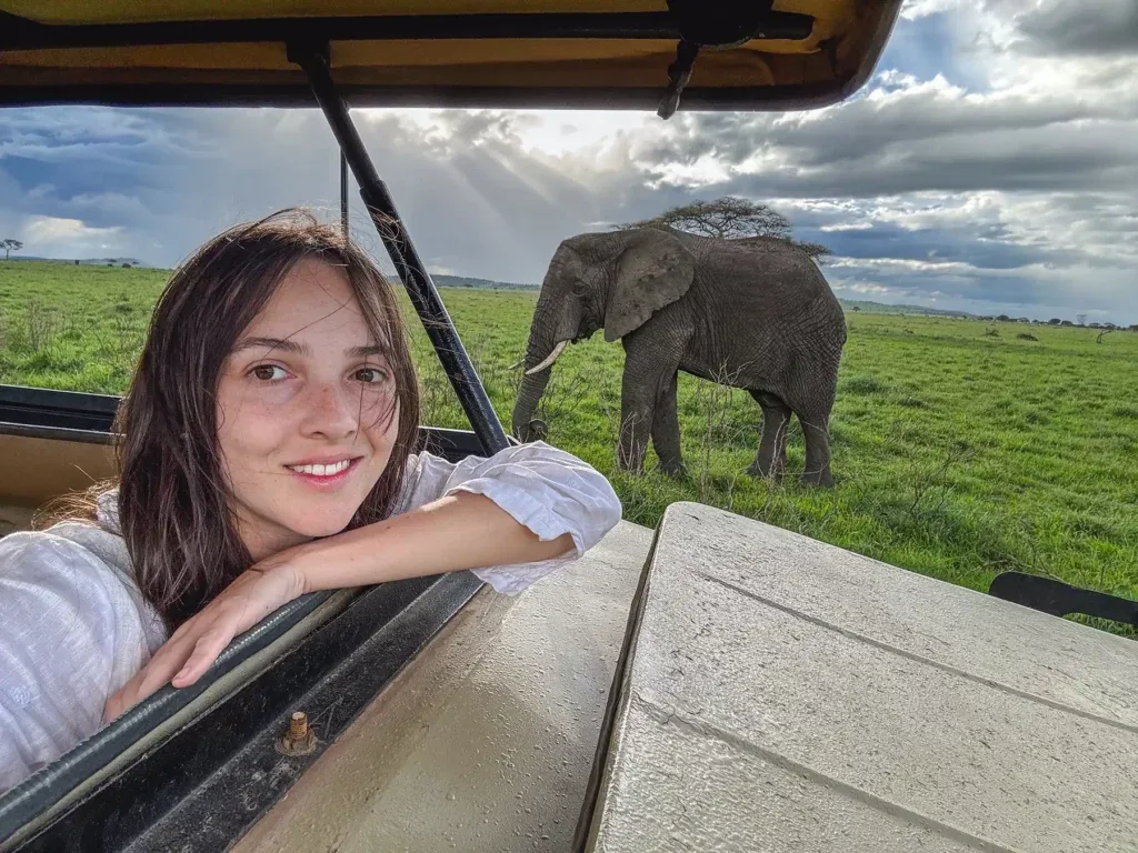 Open Serengeti plains under a wide sky