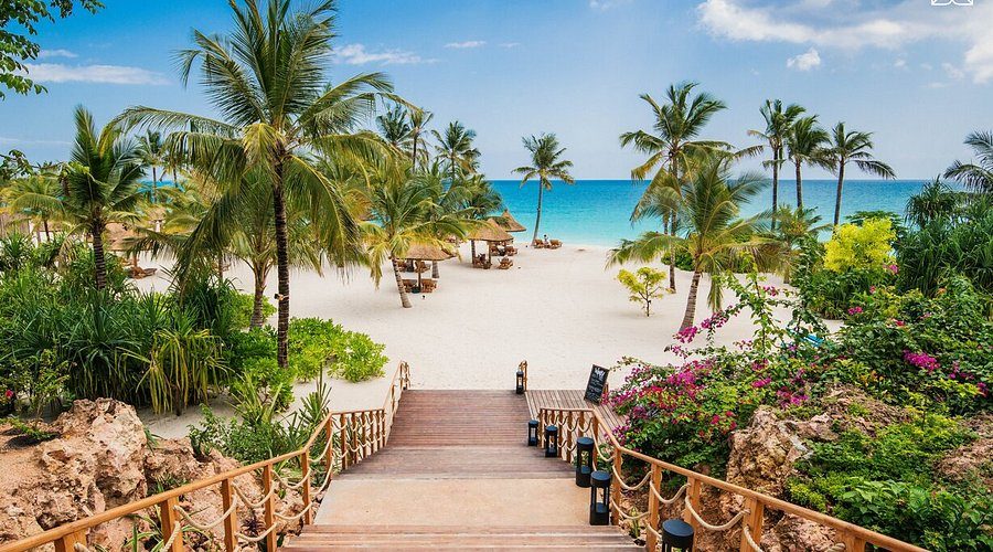 A palm-lined beach path on the Zanzibar coast