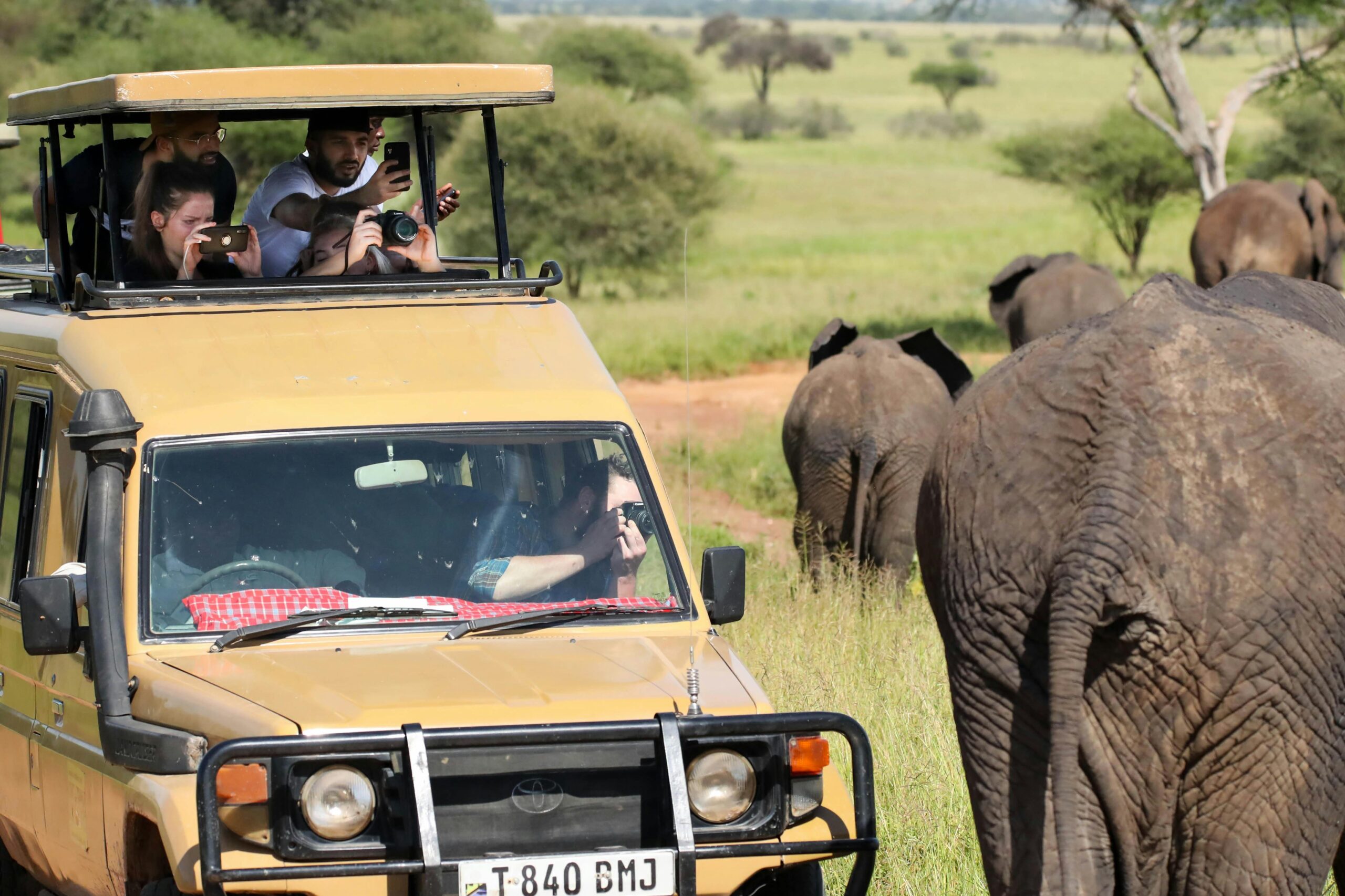 When Is the Best Time to Visit Maasai Mara: A Month-by-Month Weather & Wildlife Guide