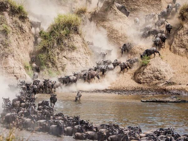 7-Day Serengeti Safari Tour