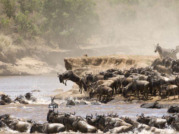 7-Day Tanzania Safari Itinerary