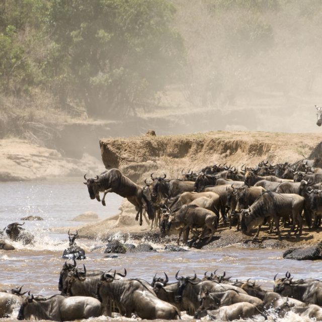 7-Day Tanzania Safari Itinerary